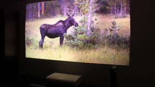 Samsung The Premiere 9 visar bild av en älg ute på ett fält.