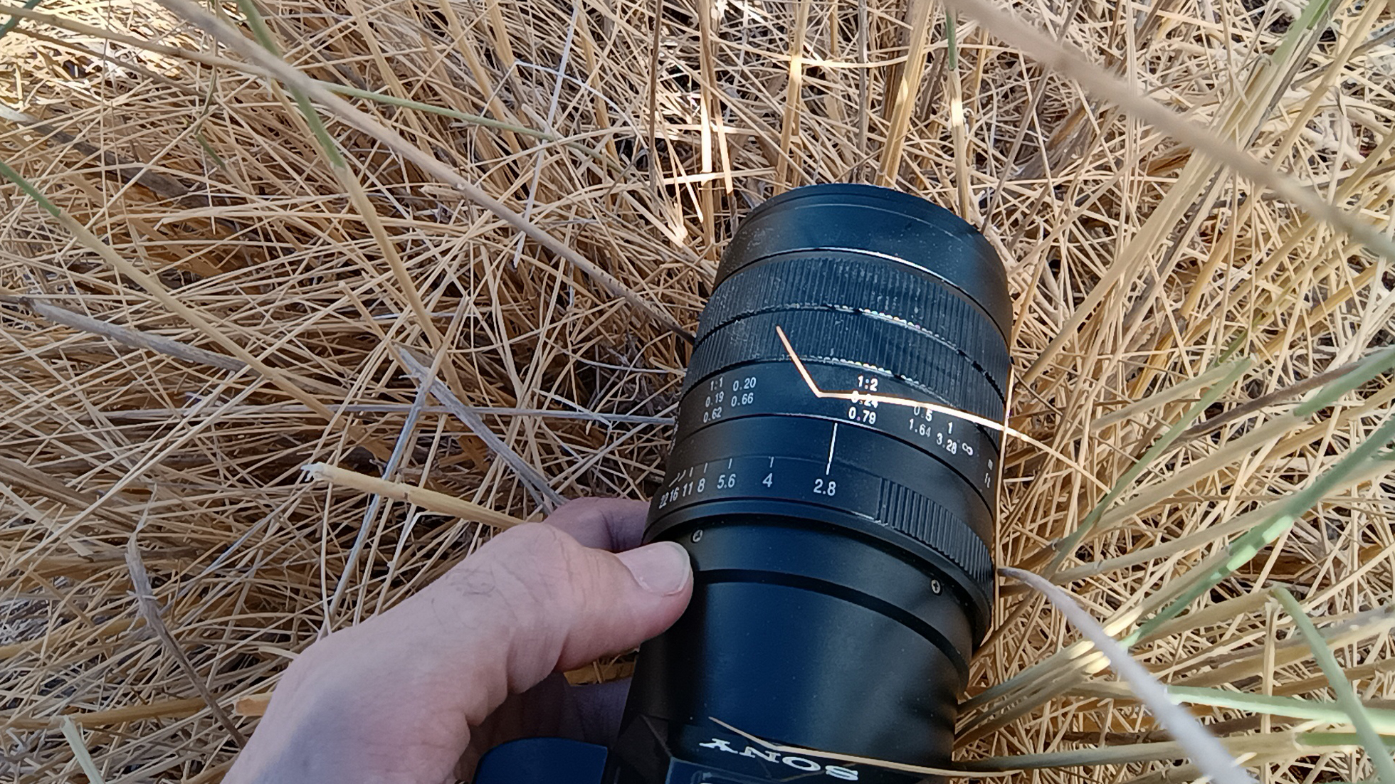 Macro lens positioned in dry grass