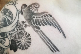 Bird tattoo