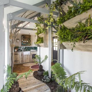 indoor home garden with wooden path