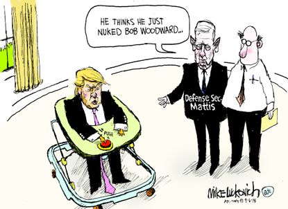 Political cartoon U.S. Trump Mattis administration chaos Fear book Bob Woodward