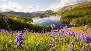 A view of the Lake District