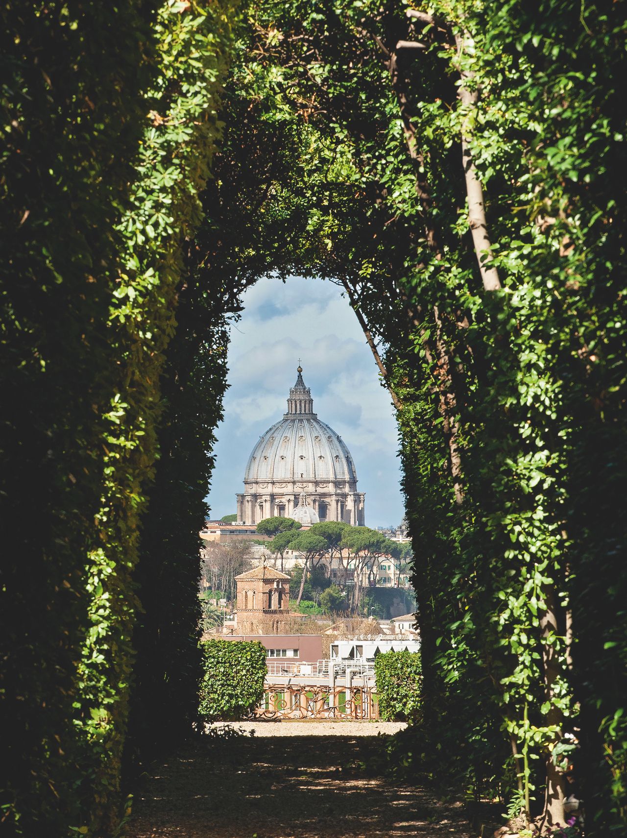 St Peter's Basilica viewed through an arched hedge