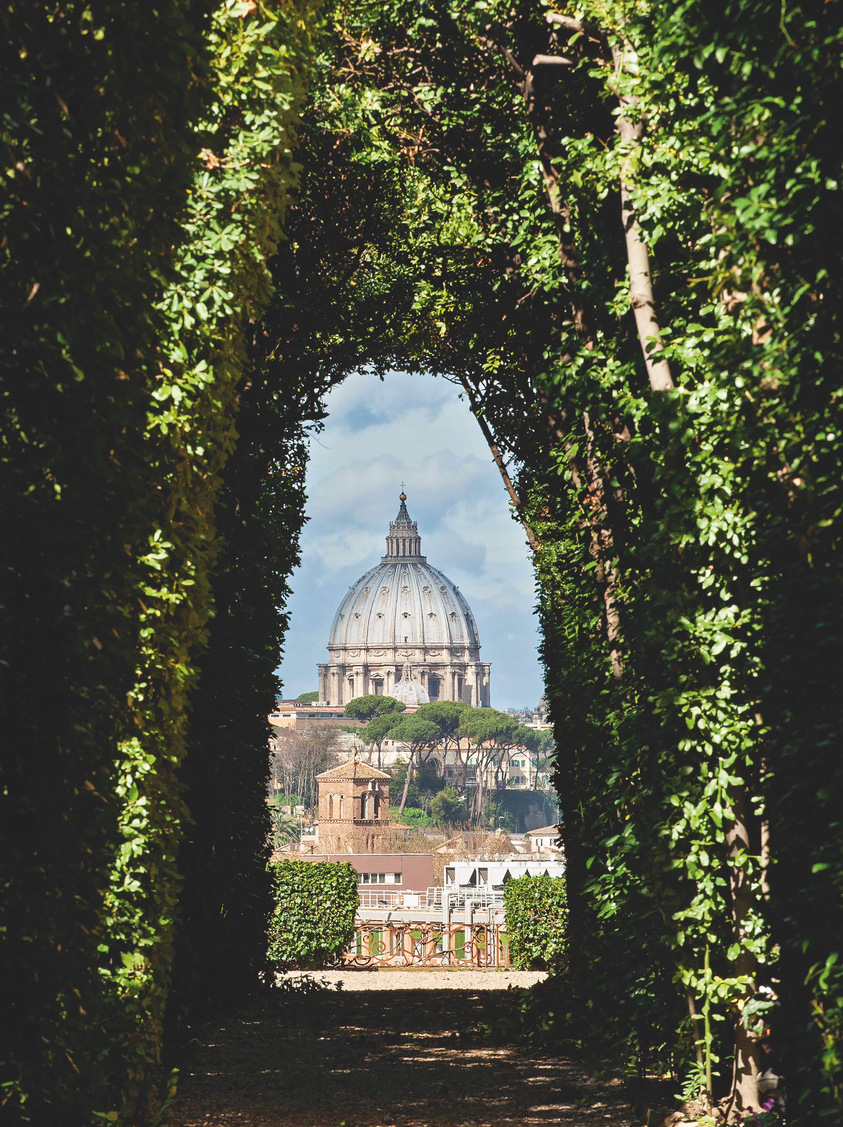 St Peter's Basilica viewed through an arched hedge