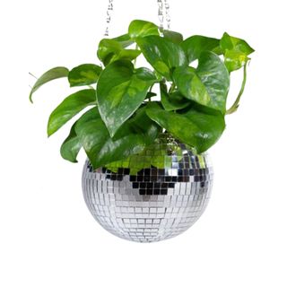 A plant in a disco ball planter