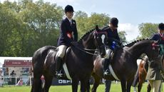 A showing line-up at Royal Windsor