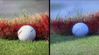 The balls on the sprinkler head at the WGC-Match Play