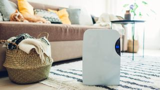 A dehumidifier in a living room next to a sofa and rug