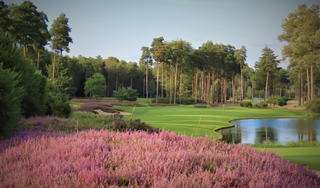 Queenwood golf hole pictured