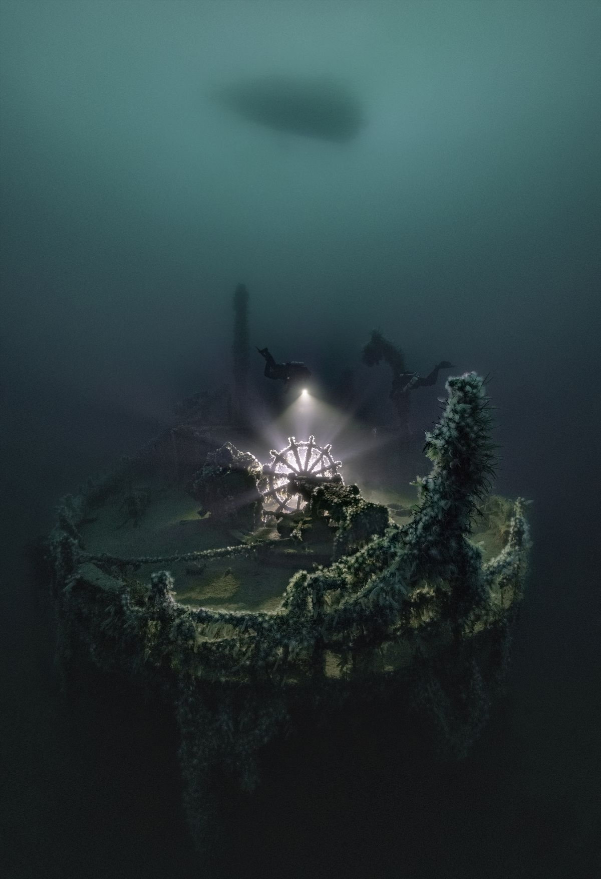 Underwater Photographer of the Year 2022 winning images