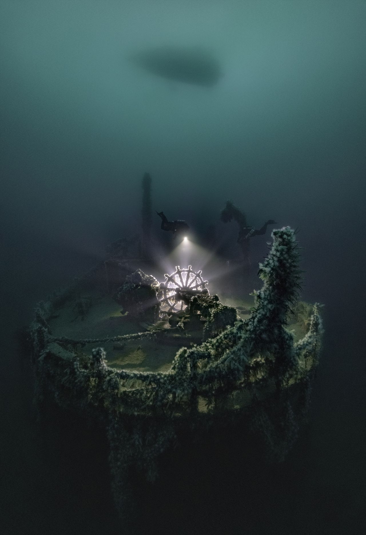 Underwater Photographer of the Year 2022 winning images