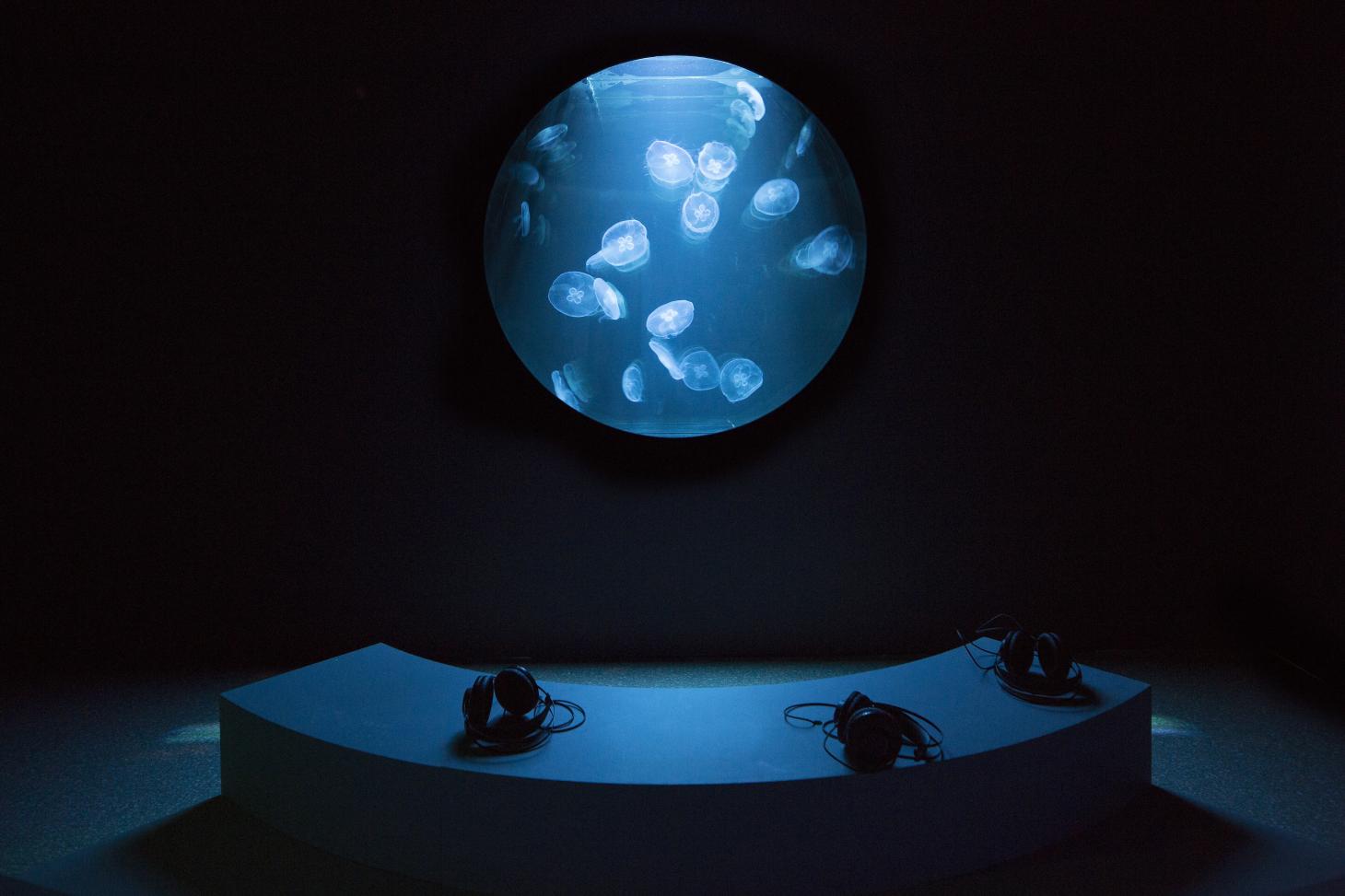 Rimini Protokoll work at Royal Academy