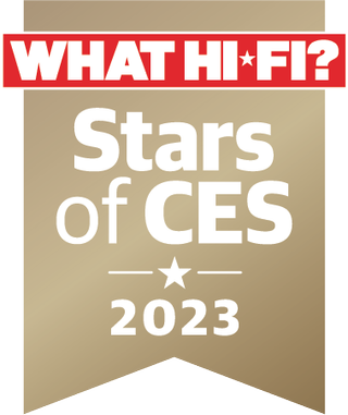 What Hi-Fi? Stars of CES 2023