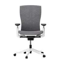 Autonomous Ergo Chair Ultra 2 (★★★★☆)