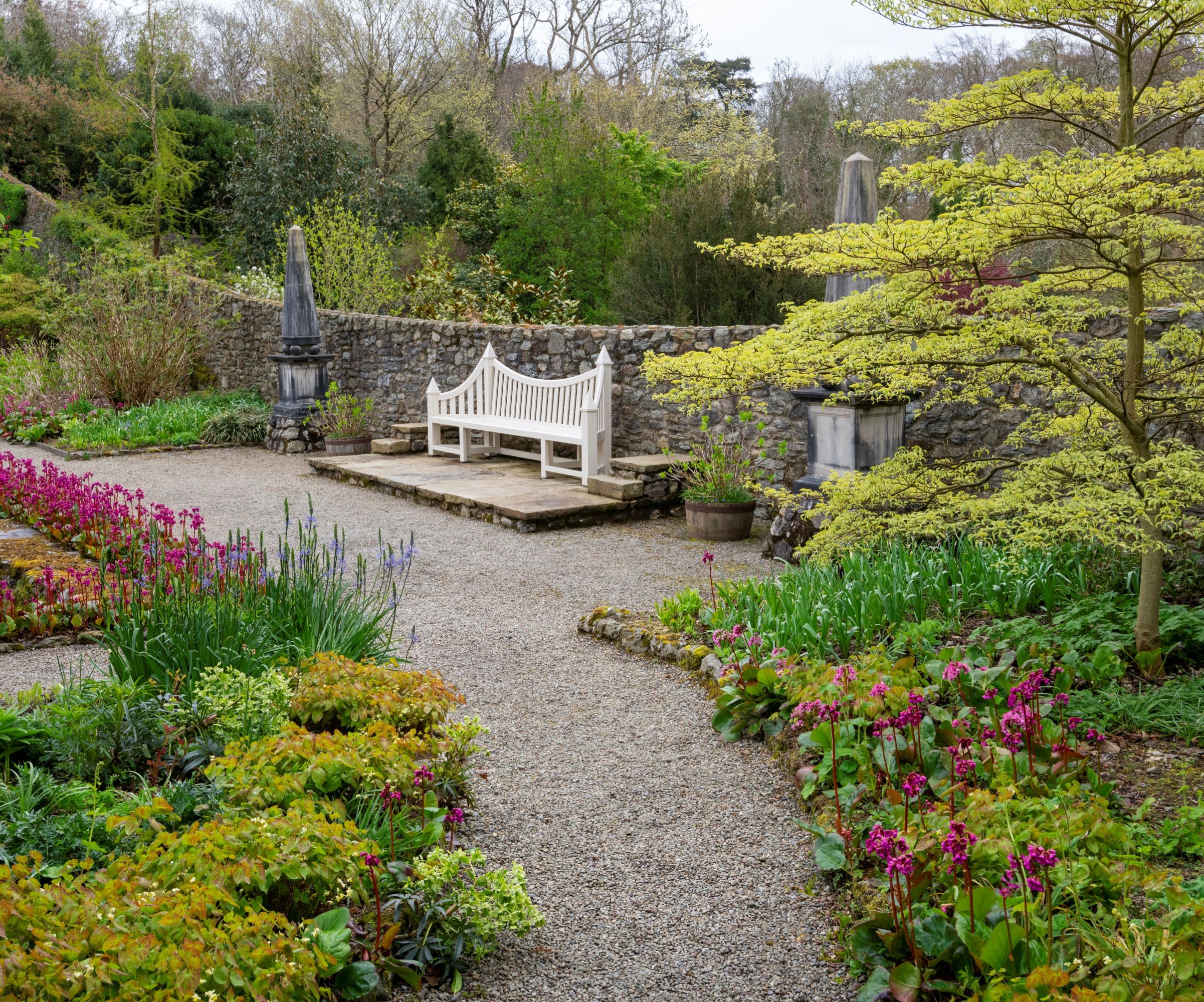 A white wooden bench on gravel with a stone garden wall behind it and plants around it