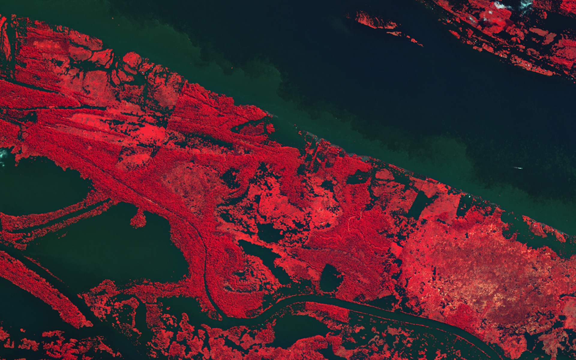 Kompsat-2 View of Amazon River 