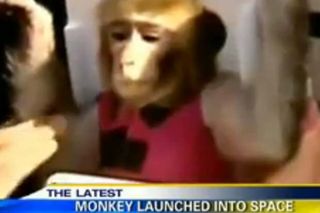 Iran successfully launched its second monkey into space Saturday (Dec. 14), landing it safely on Earth after a 15-minute ride, according to Iranian officials.