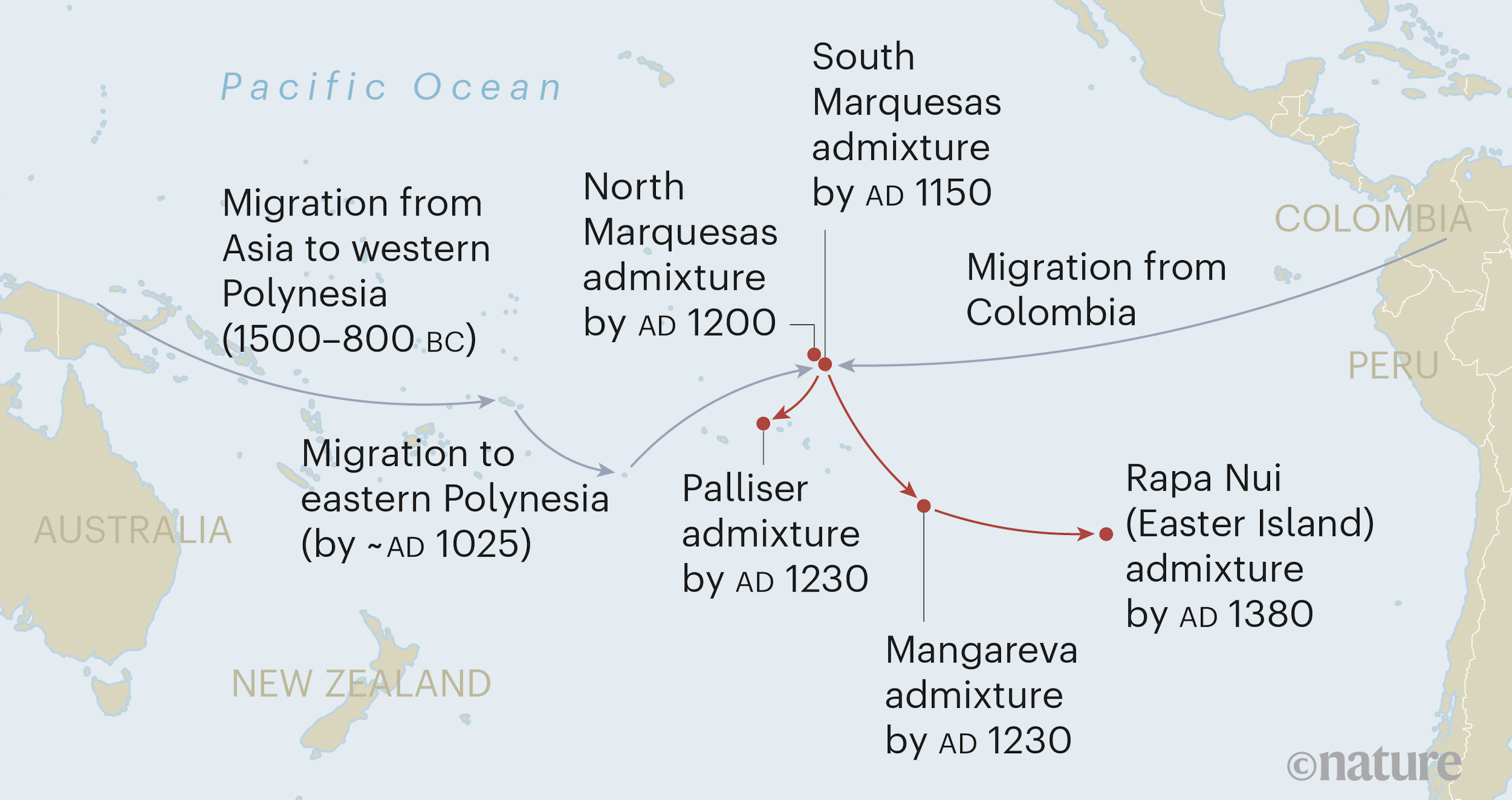 The new DNA analysis shows when Polynesians with Native American ancestry showed up on each of these Polynesian islands.