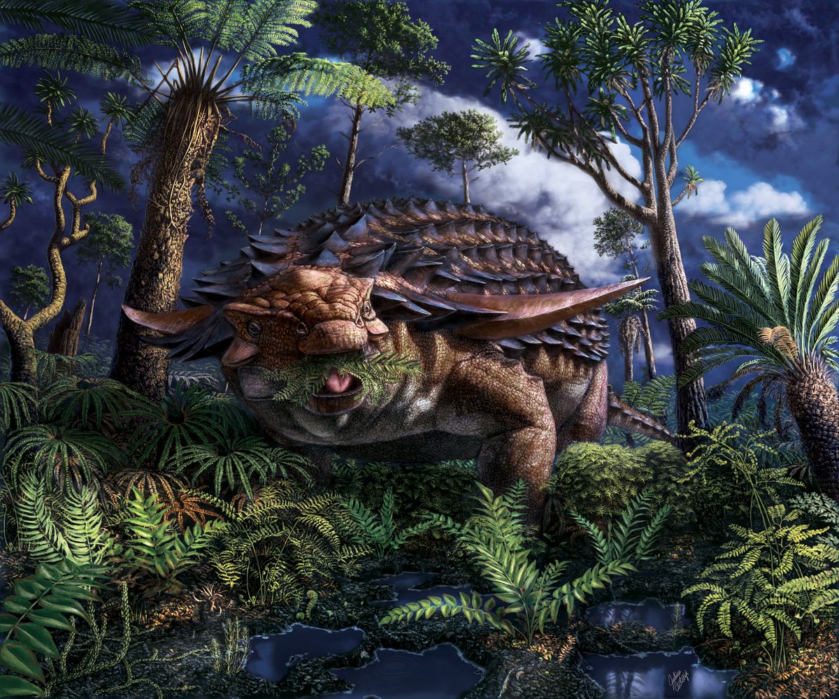 Best-preserved dinosaur stomach ever found reveals 'sleeping dragon's' last meal - Livescience.com
