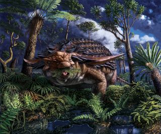 The nodosaur Borealopelta markmitchelli preferred to munch on a particular type of fern, an analysis of its fossilized stomach contents reveals.