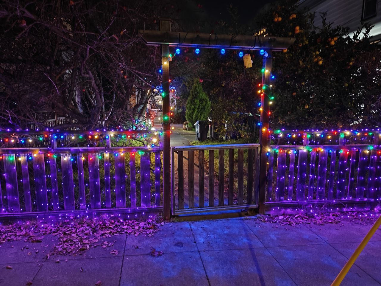Holiday decorations at night shot by OnePlus 13R