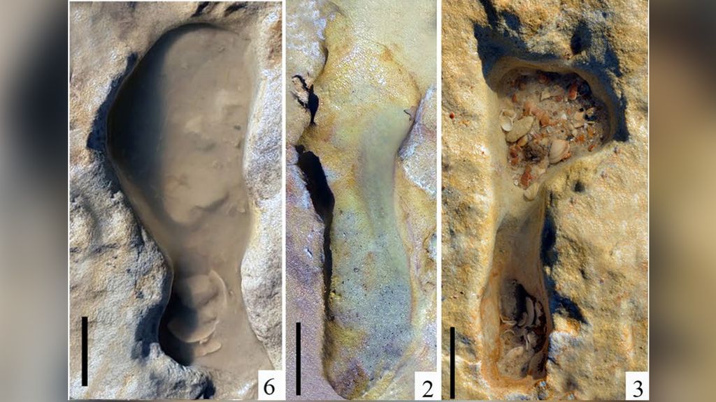 100,000-year-old Neanderthal footprints show children playing in the sand