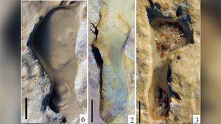 The fossilized footprints discovered on a beach in southern Spain are thought to be more than 100,000 years old and may be the earliest Neanderthal footprints found in Europe.