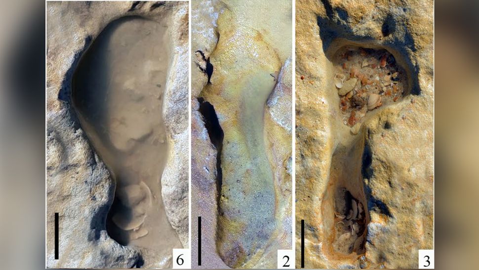 100,000-year-old Neanderthal footprints show children playing in the ...