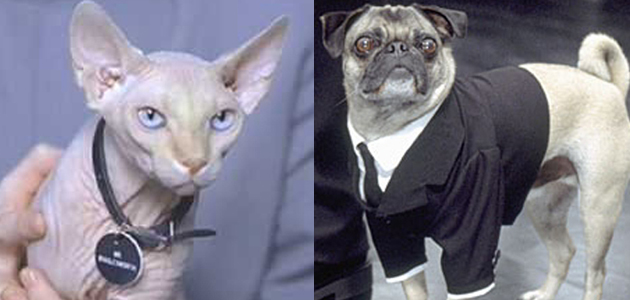 Evil sidekick vs alien spy
