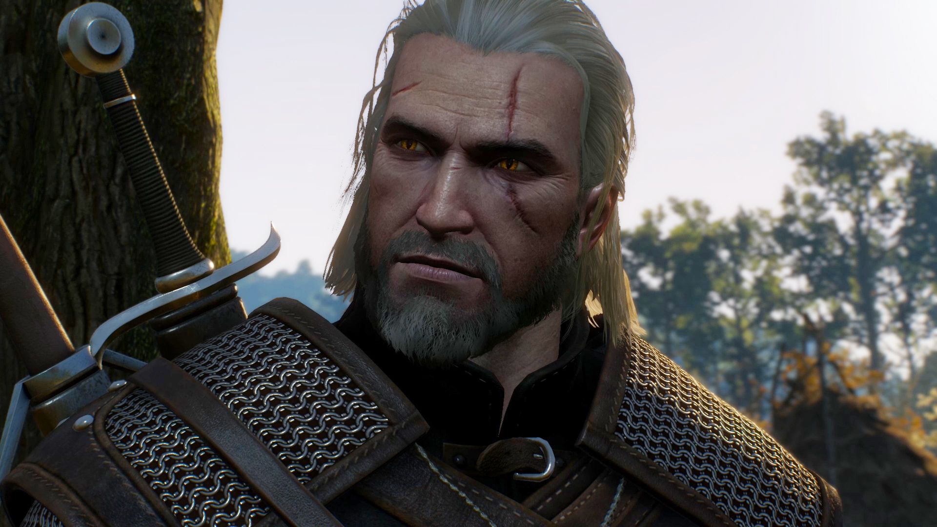 The witcher 3 патч для ps5 фото 98