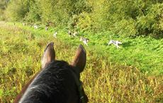 The hunt: Warwickshire