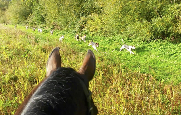 2 saddle shots when out with the Warwickshire, ears of eventer Blue Saffron enjoying a change of scene.