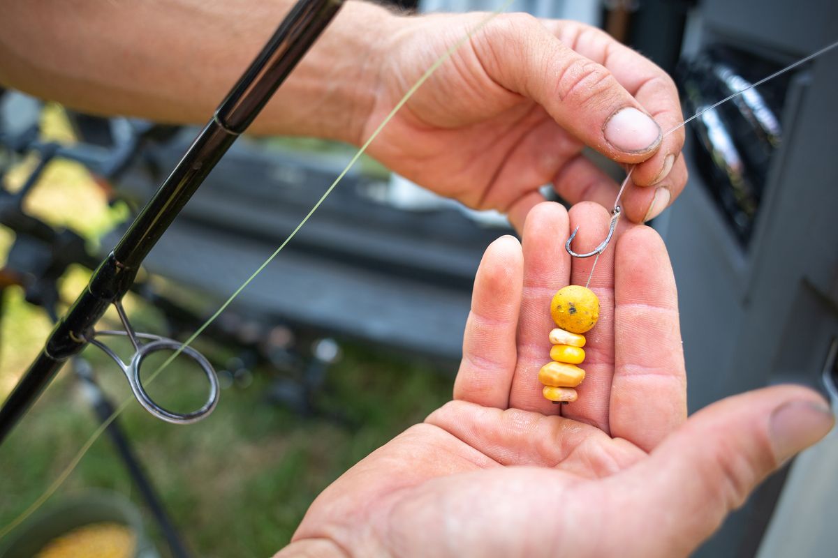 How to catch carp the best tips for catching big carp Advnture