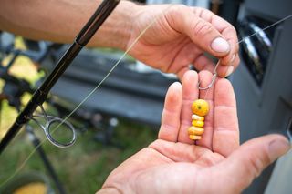 Hands holding a fishing hook with bait for carp fishing