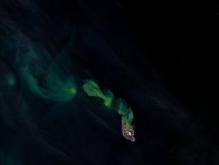 A true-color image taken by an instrument aboard the Landsat-8 satellite shows a plume of sediment and a puff of steam coming from the Bogoslof Volcano in Alaska. 