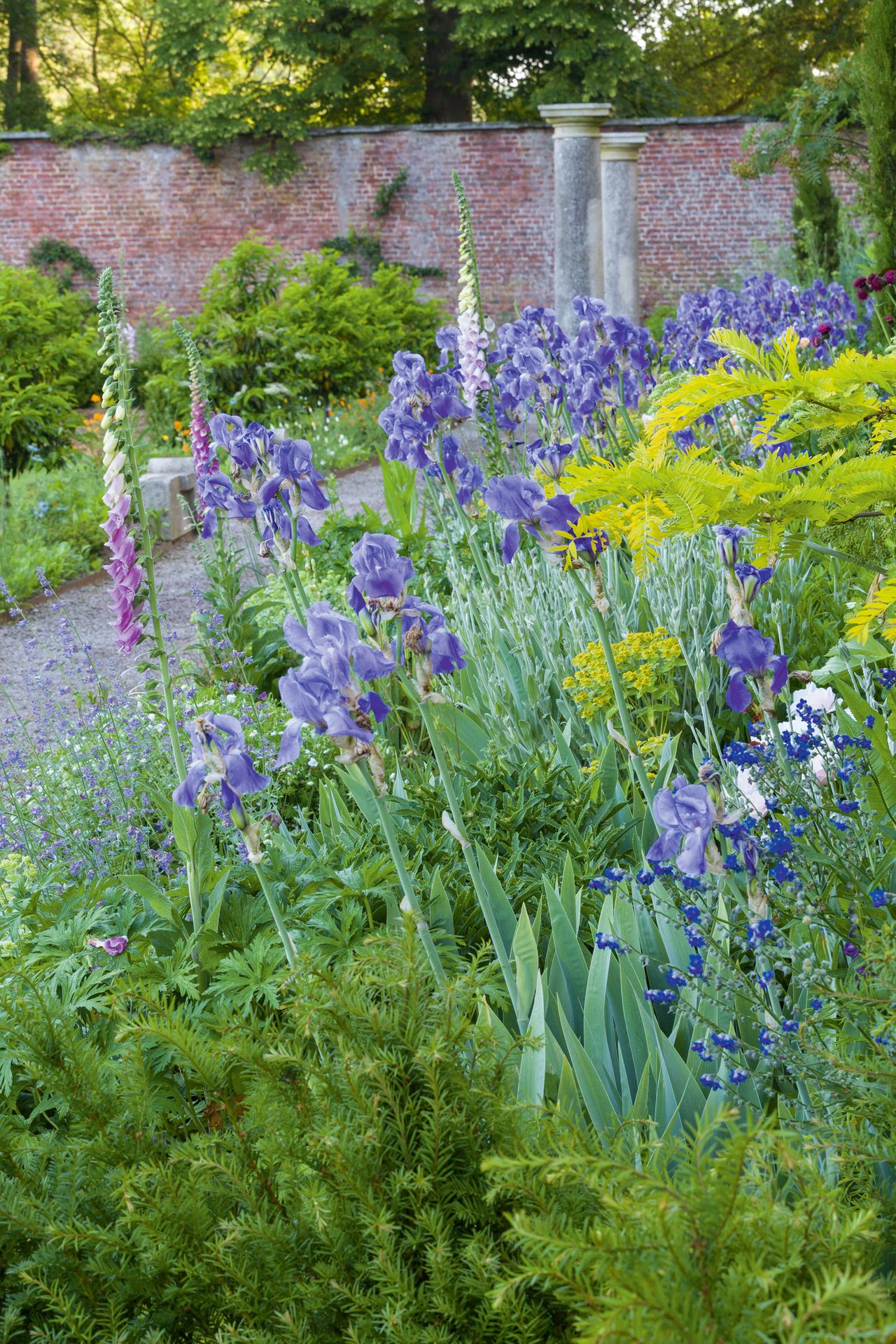 Tour this walled garden – filled with cottage garden plants | Homes ...