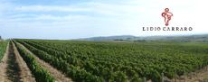 Lidio Carraro