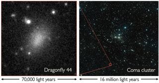 Dragonfly 44 is an ultradiffuse, or "fluffy" galaxy discovered in 2015 when astronomers used the Dragonfly Telephoto Array to look at several unidentified blobs in the constellation Coma.