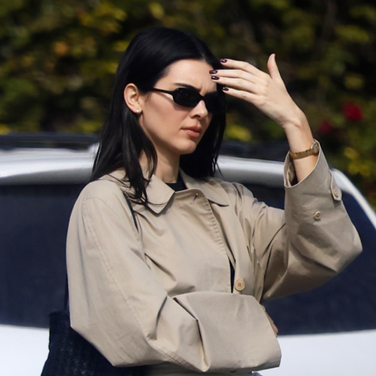 Kendall Jenner carrying The Row Lilou Woven Tote