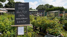 Burford Garden Centre, Oxfordshire