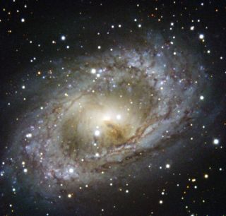 Spiral Galaxy NGC 6300