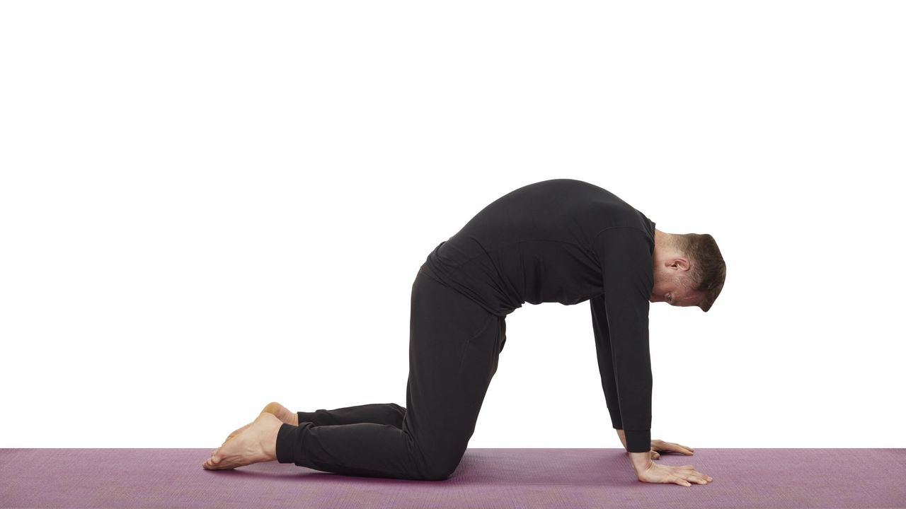 Yoga teacher Nick Higgins performs cat pose