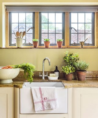 kitchen with potted plants