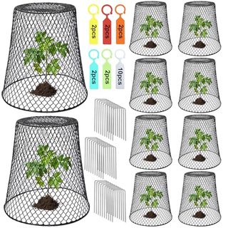 Dukelai 10 Pcs Chicken Wire Cloche Plant Covers Garden Netting Metal Heavy Duty Plant Protectors From Animals for Keeping Bunnies Chicken Squirrels Birds Other Out 9.13×9.13 in