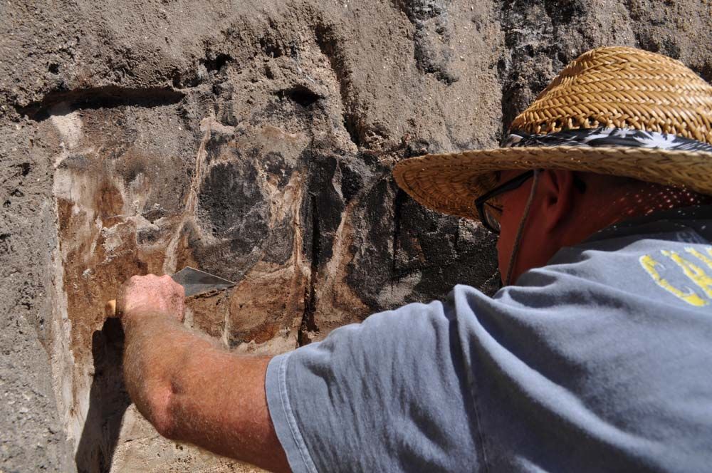 Uncovering bones of ancient bison