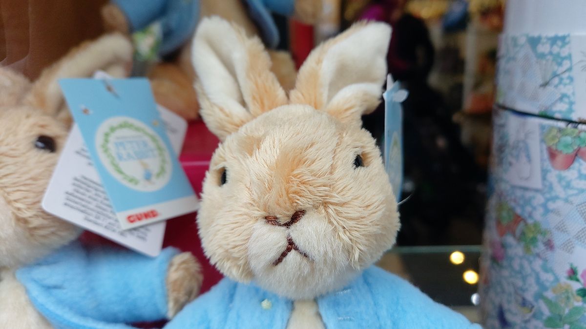 Samsung Galaxy A90 5G camera sample