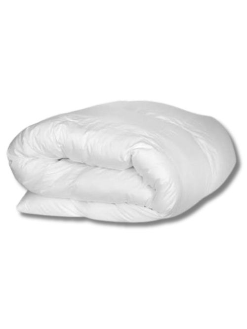 Astra Down Alternative Comforter (twin)
