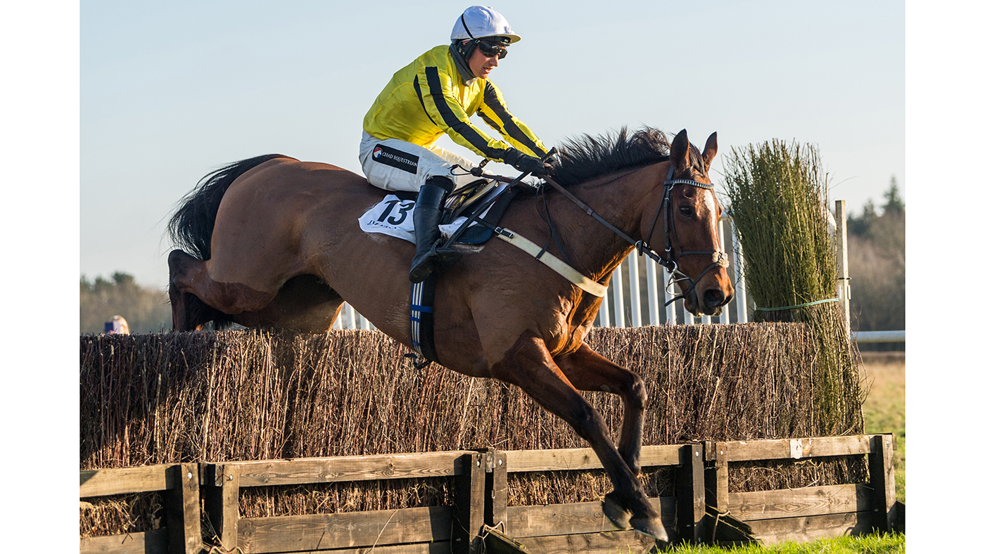 Pont Aven - Alex Chadwick winners of the Mens Open race at the East Anglian Retired Jockeys' Club Point to Point steeplechases at Higham racecouurse on Sunday 16th January 2022