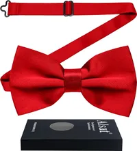 Alsat Pre Tied Bow Tie