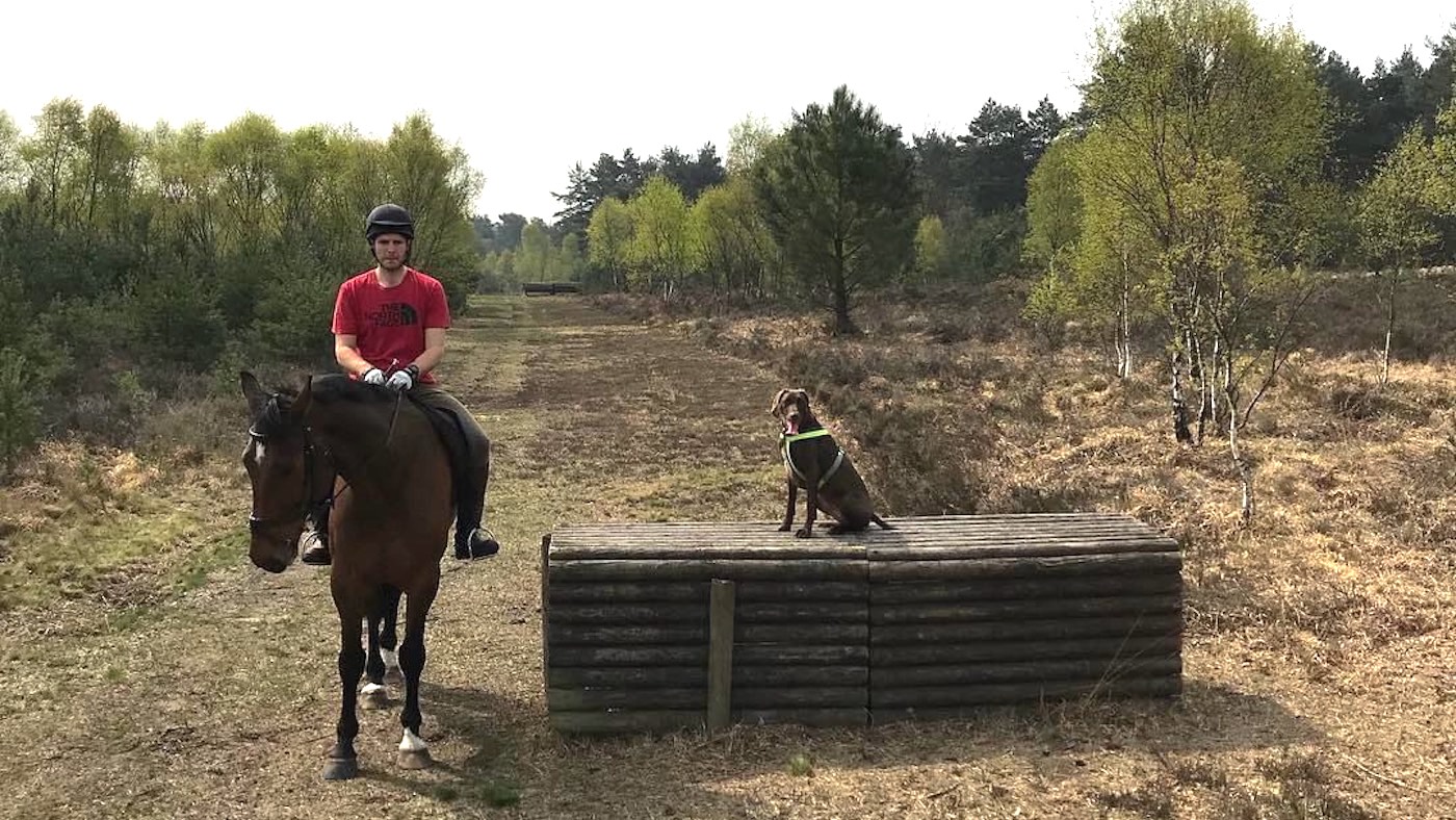 Horse rider hacking out with dog